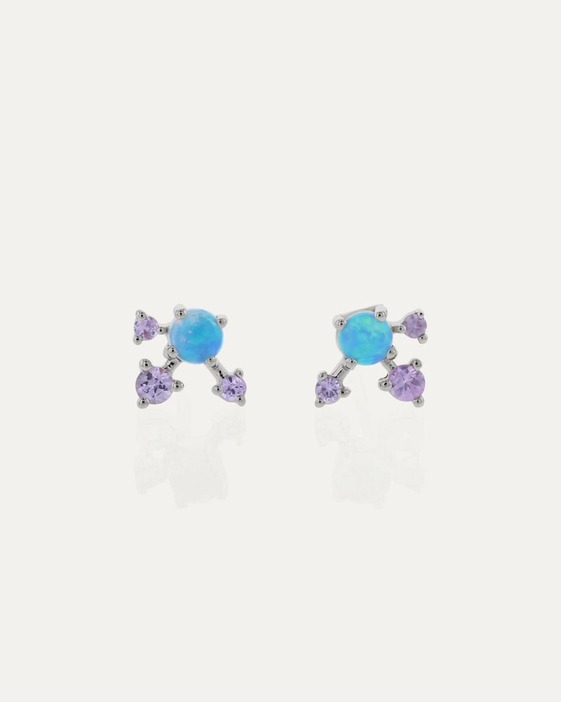 Sunflash Earrings
