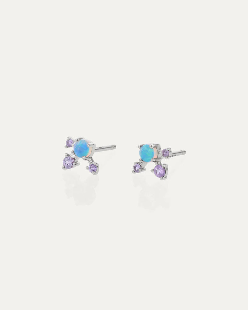 Sunflash Earrings