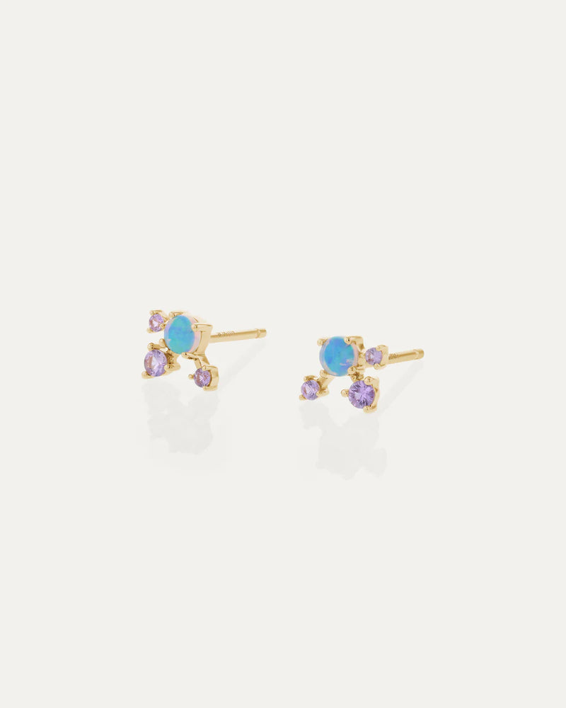 Sunflash Earrings